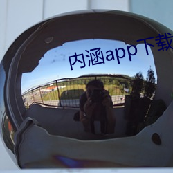 内(內)涵app下载地点