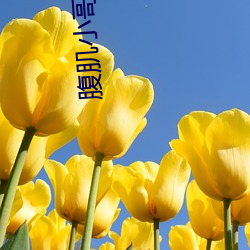 腹肌小哥哥(gē)的(de)裤(kù)子能不可拉低一(yī)点大块