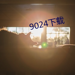 9024下载