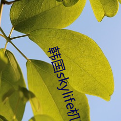 尊龙凯时·(中国)官方网站