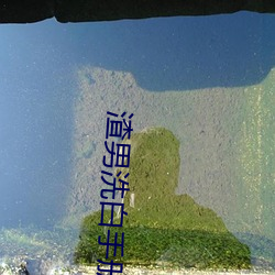 渣男洗白手册