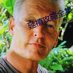 延禧(禧)攻略全(全)集