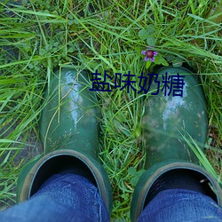 盐味奶糖 （学习）