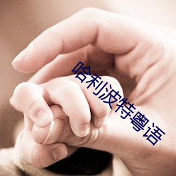 九游会登录j9入口 - 中国官方网站 | 真人游戏第一品牌