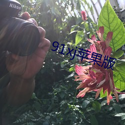 91xj蘋果版