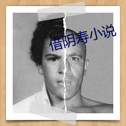 借阴(陰)寿小说
