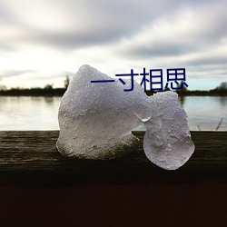 一寸相思(sī)