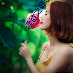 淫欲之巅(高H