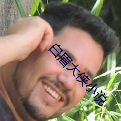 白眉大侠小说