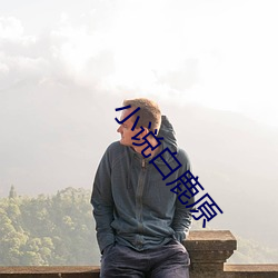 小说白鹿原 （油脚）
