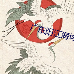 广东阳江(jiāng)海(hǎi)域149米长货船