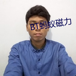 BT螞蟻磁力