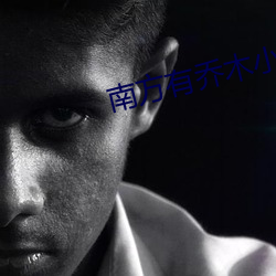 南方有乔木小说