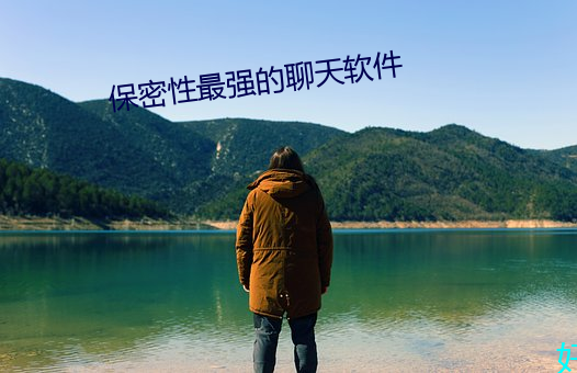保密性最强的聊天软件