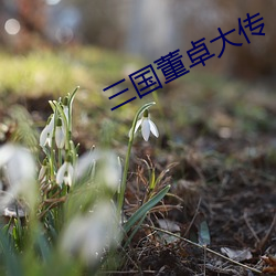 三国董卓大传 （进展