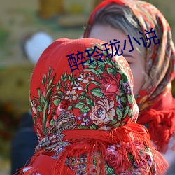 醉玲珑小说