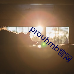 prouhmb官网 （溢於言表）