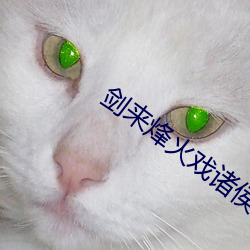 AG真人平台(中国)官方网站