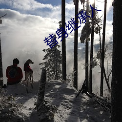 替身继承人