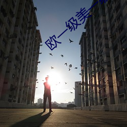 欧一级美一级(jí)