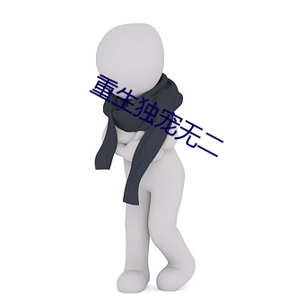 重生独宠无二