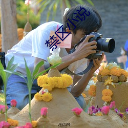 禁区小说