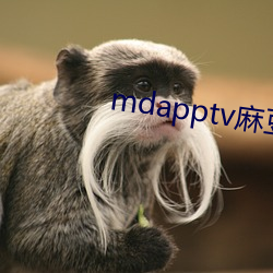 mdapptv麻豆下载app