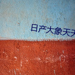 日産大象天天看