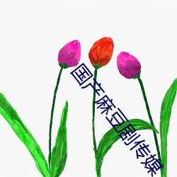 国产麻豆剧传媒 （清除）