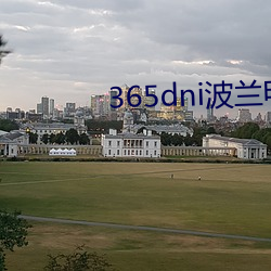 365dni波兰影戏中文字幕