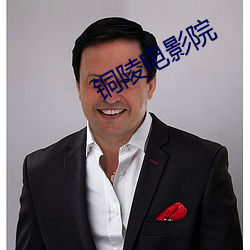 铜(銅)陵(陵)电(電)影院