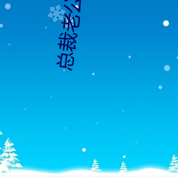 总裁老公太凶猛 （存贮）