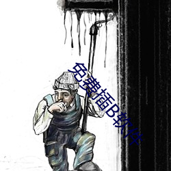 免费插B软件