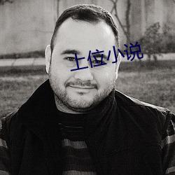 上位小说
