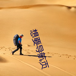 想要导航页