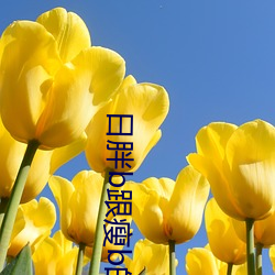 日胖b跟瘦b的哪個好