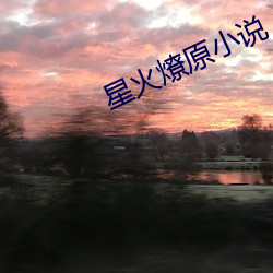 星(星)火(火)燎原小(小)说