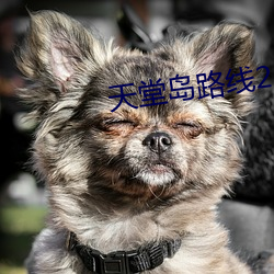 天堂岛(d¨£o)路线2