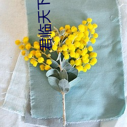君临天下小(小)说