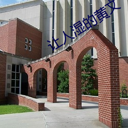 让人湿的黄文