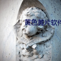 黃色黃片軟件