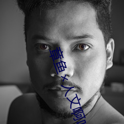 章鱼人文啊哈