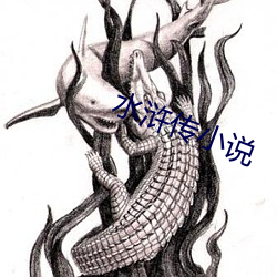 水浒传小(xiǎo)说