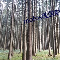 mofos美国射频