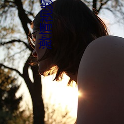 激情视频导航 交换价值）