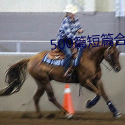 500篇短篇合免费阅读