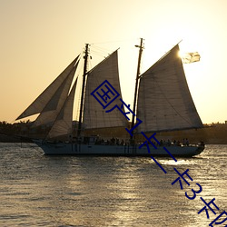 国(國)产(産)1卡二卡3卡四卡乱码