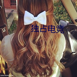 独占(zhàn)电(din)竞