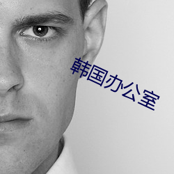 韩(hán)国办公室