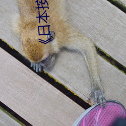 《日本按摩小视频 主人）